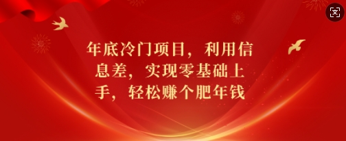 年底冷门项目，利用信息差，实现零基础上手，轻松赚个肥年钱【揭秘】-起步网