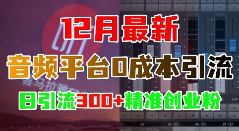 12月最新：音频平台0成本引流，日引流300+精准创业粉-起步网