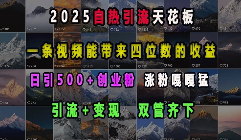 2025自热引流天花板，一条视频能带来四位数的收益，引流+变现双管齐下，日引500+创业粉，涨粉嘎嘎猛-起步网