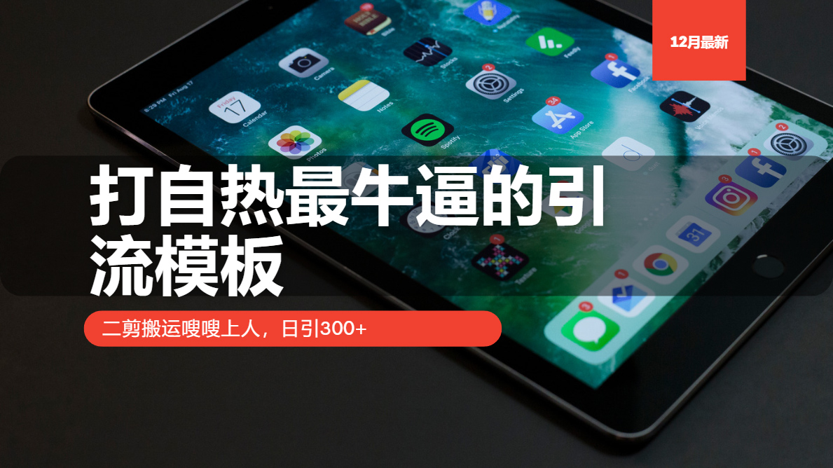 打自热最牛逼的引流模板，二剪搬运嗖嗖上人，日引300+-起步网