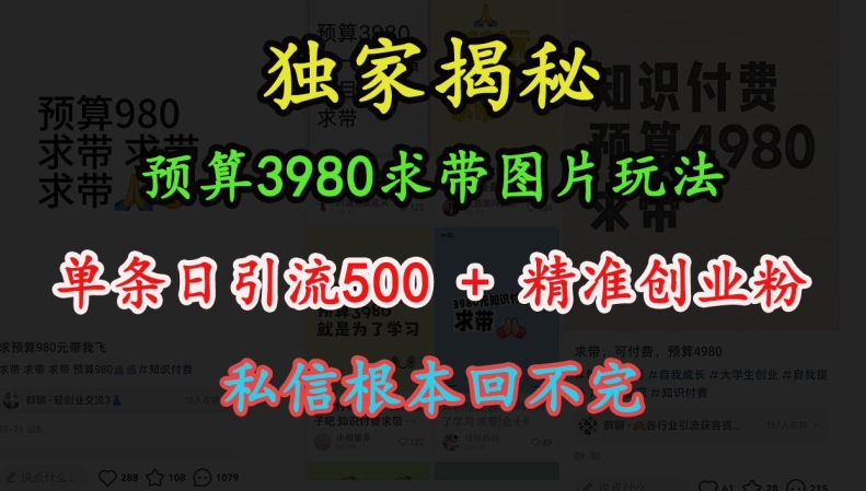 预算3980求带 图片玩法，单条日引流500+精准创业粉，私信根本回不完-起步网