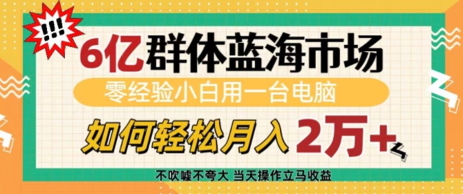 6亿群体蓝海市场，零经验小白用一台电脑，如何轻松月入过w【揭秘】-起步网