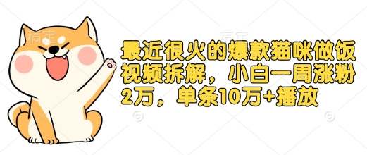 最近很火的爆款猫咪做饭视频拆解，小白一周涨粉2万，单条10万+播放(附保姆级教程)-起步网