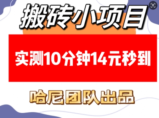 搬砖小项目，实测10分钟14元秒到，每天稳定几张(赠送必看稳定)-起步网