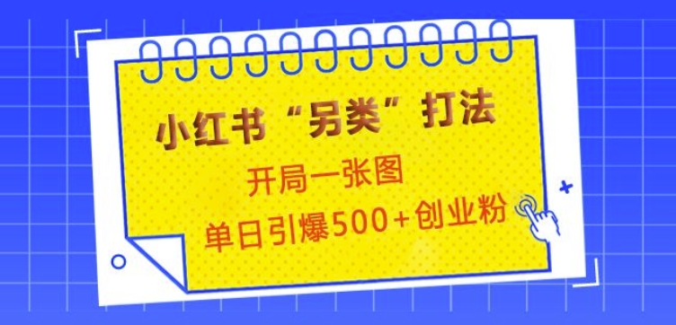 小红书“另类”打法，开局一张图，单日引爆500+精准创业粉【揭秘】-起步网