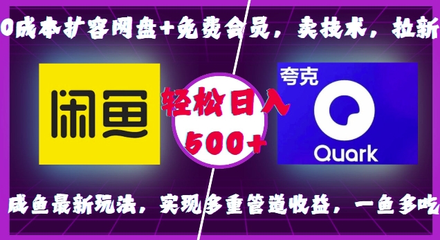 0成本扩容网盘+免费会员，卖技术，拉新，咸鱼最新玩法，实现多重管道收益，一鱼多吃，轻松日入500+-起步网