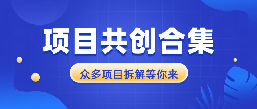 项目共创合集，从0-1全过程拆解，让你迅速找到适合自已的项目-起步网