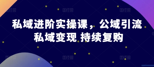 私域进阶实操课，公域引流 私域变现 持续复购-起步网